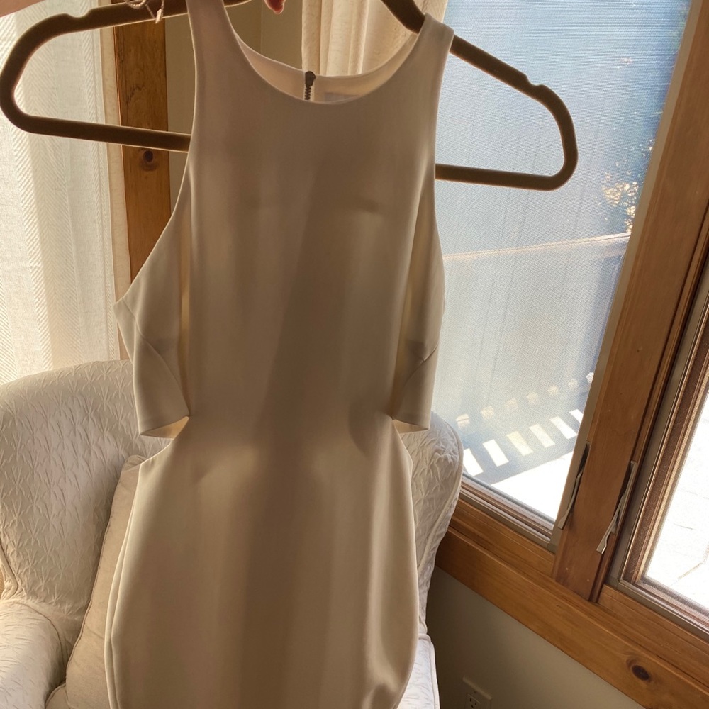 Elizabeth and James Dress size 0